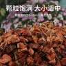 仙兔椰殼蘭花植料粗椰殼椰磚營(yíng)養土脫鹽石斛月季花土蝴蝶蘭專(zhuān)用土 大塊粗椰殼8斤+大塊椰糠磚9斤 曬單實(shí)拍圖