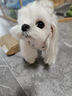 puppytie狗狗牽引繩小型犬狗繩遛狗繩背心式泰迪柯基寵物胸背帶狗狗胸背帶 珍珠白-胸背帶 XXS-迷你型建議1-6斤 曬單實(shí)拍圖