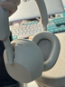 索尼（SONY）WH-1000XM5 頭戴式無線耳機 藍牙降噪耳機1000XM4升級款 網(wǎng)課游戲禮物送男女友學生 鉑金銀 曬單實拍圖