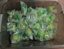 海南青檸檬新鮮當(dāng)季水果鮮檸檬奶茶店專用皮薄多汁整箱 青檸檬9斤 曬單實(shí)拍圖