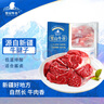 雪山牛谷牛肉生鮮牛腱子500g新疆特產(chǎn)褐牛清真減脂輕食健身首選【真原切】 曬單實(shí)拍圖