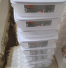 佳幫手冰箱保鮮盒食品級(jí)抗菌收納盒密封水果蔬菜冷凍盒超值六件套 曬單實(shí)拍圖