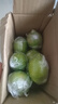 廣東香水檸檬新鮮檸檬茶生鮮鮮檸奶茶店專用檸檬水果產(chǎn)地源頭直發(fā) 【1斤】香水檸檬(單果50g+) 曬單實(shí)拍圖