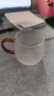 憶壺茶（YIHUTEA） 茶杯玻璃茶具加熱杯墊套裝泡茶道杯 綠茶杯紅茶帶過(guò)濾茶水分離杯 茗雅杯400ml 曬單實(shí)拍圖