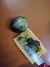 鮮級(jí)佳秘魯進(jìn)口牛油果鱷梨非即食寶寶營(yíng)養(yǎng)輔食多地次日達(dá)新鮮水果當(dāng)季 120-150g 【6個(gè)裝】 曬單實(shí)拍圖
