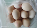 黃天鵝可生食雞蛋 20枚/2.12斤禮盒裝 生鮮雞蛋京東自營(yíng) 無(wú)抗生素 曬單實(shí)拍圖