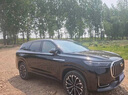 車麗友 瑞虎9腳墊TPE全包圍 TPE腳墊+碳纖絲【家用首選】黑色 瑞虎9（23-25款）5座 曬單實(shí)拍圖