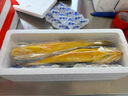 大東島半野生大黃魚(yú)黃花魚(yú)海鮮水產(chǎn)黃魚(yú)鮮凍送人禮品順豐包郵 1.1-1.3斤/條 5條裝 曬單實(shí)拍圖