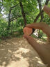 貝蓓芯【順豐】水果胡蘿卜兒童即食零食手指迷你小胡蘿卜火鍋煲湯榨汁 【138g】水果胡蘿卜 5袋裝 曬單實(shí)拍圖