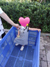 ASK JUNIOR25夏季兒童連裙子小童波浪條紋撞色無袖背心裙女童背后大翅膀 曬單實(shí)拍圖