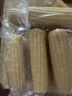 京鮮生東北白糯玉米250g*10棒 新鮮甜糯玉米棒真空包裝粘玉米 源頭直發(fā) 曬單實(shí)拍圖