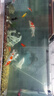 老漁匠魚缸過濾桶外置過濾器除油膜凈水低音制氧過濾一體機(jī)循環(huán)過濾系統(tǒng) 【殺菌版開缸套餐】2200L/H流量可調(diào) 曬單實(shí)拍圖