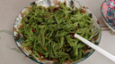 云南山林沙松尖野菜袋涼拌飯店專用餐飲蔬菜1000g/袋半成品涼菜 鹽水沙松尖2袋【2斤/袋】 云南特色涼拌菜 曬單實拍圖