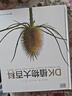 DK植物大百科（新版）典藏級(jí)植物圖譜 探索植物秘密 京東自營(yíng)正版 曬單實(shí)拍圖