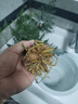 佰花錦文竹桌面盆栽新中式綠植辦公室客廳盆景茶臺(tái)臥室好養(yǎng)綠植花卉植物 【送方底座】文竹+pvc舍得盆+黑沙石鋪面 20-30cm 曬單實(shí)拍圖