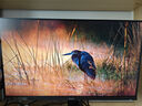 SANC盛色23.8英寸2K原生180Hz FastIPS顯示器10bit 硬件低藍(lán)光 小夜燈耳機(jī)掛架 電腦電競屏幕 G52Max 曬單實(shí)拍圖