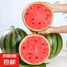 正宗黑籽麒麟西瓜應(yīng)季新鮮水果新鮮現(xiàn)摘沙瓤薄皮麒麟瓜 麒麟西瓜 8-9斤 1枚裝 曬單實拍圖