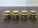 全銅外絲堵頭4分內(nèi)絲水管堵帽四分管堵6分角閥1寸水龍頭銅堵頭塞 4分銅堵頭[20克] 無規(guī)格 曬單實(shí)拍圖
