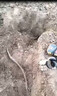 珂升電纜智能檢測儀高壓脈沖定位探測器斷路短路漏電故障地埋線測線儀 aiw精英型（脈沖+巡線+聲磁） 曬單實(shí)拍圖