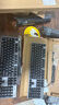 羅技（Logitech）K845機械鍵盤 有線鍵盤 辦公電腦打字鍵盤  電競游戲發(fā)光全尺寸個性化定制鍵帽 K845青軸+極晝透光鍵帽+桌墊 曬單實拍圖