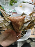 L-CALORIE胖東來超市優(yōu)選五芳齋粽子禮盒裝端午嘉興肉粽子蛋黃豆沙粽子送禮 五芳豬肉粽100g*10 京li東官方自旗艦營店搭山姆粽 曬單實拍圖