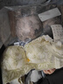 維多利亞內(nèi)衣女無鋼圈小胸聚攏收副乳防下垂爆款平胸專用文胸罩 奶灰 L 36/80AB 【上薄下厚】 曬單實拍圖