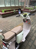 星盾霸電動(dòng)車手機(jī)支架摩托車防震防抖八爪魚小頭盔遮陽(yáng)擋雨萬(wàn)向球旋轉(zhuǎn)騎行導(dǎo)航代駕快遞外賣員專用 黑色后視鏡鏡座  送增高螺絲小扳手+小頭盔 曬單實(shí)拍圖