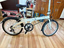 大行（DAHON）折疊自行車20英寸6速超輕通勤成人休閑代步單車BYA061 麗面白 曬單實拍圖