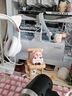 星舵送女友擺件莫生氣小擺件辦公室情緒穩定車(chē)內裝飾女生520禮物 莫生氣+噸噸噸兩個(gè)裝 曬單實(shí)拍圖