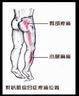 京東京造 筋膜球 足底筋膜按摩球 背部按摩球 肩頸肌肉放松筋膜球 酷灰 曬單實(shí)拍圖