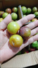 黃六爺半邊紅四川脫骨李子5斤茵紅李當季新鮮水果青紅脆甜空心五月脆李 5斤 20-25g 【小果】頭茬現摘 曬單實(shí)拍圖
