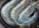 蝦有蝦途青島大蝦無冰新鮮海蝦白蝦鮮活冷凍大蝦批發(fā)3.6斤凈重 青島大蝦 3.6斤(凈重)  只只分離 18-20cm【超大蝦皇】無冰 曬單實拍圖