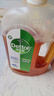 滴露（Dettol）消毒液消毒水1.2L衣物除菌液家居寵物環(huán)境地板殺菌除螨 非84酒精 曬單實(shí)拍圖