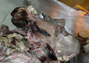 羊頭肉4斤八成熟整箱羊臉肉鹵全無骨去骨整個(gè)新鮮生羊頭整只熟食 去骨花羊頭肉【2斤裝】 曬單實(shí)拍圖