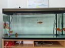 sobo松寶過(guò)濾桶魚(yú)缸過(guò)濾器外置濾桶缸外過(guò)濾系統水族箱吸魚(yú)屎凈水器 SF-1500F +【基礎濾材套餐】30%魚(yú)友選擇 過(guò)濾桶無(wú)殺菌燈 曬單實(shí)拍圖