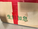 隴百味【產(chǎn)地直發(fā)】山東玉菇甜瓜 冰淇淋香瓜  新鮮應季當季時令水果 整箱5斤【單果800g+】凈4.5-5斤 曬單實拍圖