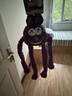 QMONSTER狗狗玩具耐咬 發(fā)聲磨牙狗玩具解悶拉扯互動(dòng)大型犬玩具 甩甩兔家族 甩甩兔（紫色） 曬單實(shí)拍圖