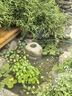 361度拖鞋男女AG運(yùn)動(dòng)涼鞋軟彈耐磨居家防滑運(yùn)動(dòng)拖鞋涉水情侶拖鞋沙灘鞋 羽毛白/烏黑色【男】 42 曬單實(shí)拍圖