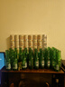 喜力經(jīng)典150ml*24瓶整箱裝 喜力啤酒Heineken 婚宴用酒 曬單實(shí)拍圖
