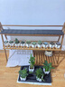 綠蔭巷子多肉植物組合套餐肉肉室內(nèi)植物辦公室電腦桌面盆栽好養(yǎng)活小盆栽 【紫珍珠】精養(yǎng)大顆 含瓷盆+托 曬單實(shí)拍圖
