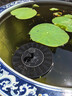 首力太陽能噴泉自動循環(huán)增氧機魚池水缸戶外庭院假山景觀噴水器小水泵 太陽能-180mm漂浮噴泉 增氧/噴泉二合一 曬單實拍圖