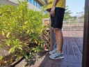 富貴鳥(niǎo)（FUGUINIAO）男鞋夏季透氣飛織網(wǎng)面鞋男士休閑運動(dòng)鞋跑步鞋網(wǎng)鞋戶(hù)外旅游鞋子男 淺灰色 38 曬單實(shí)拍圖