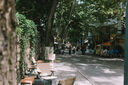 松下S9（18-40mm F4.5-6.3）套機(jī) （Panasonic）全畫幅微單 實(shí)時(shí)Lut 濾鏡直出 連接app極速分享-橄欖綠 曬單實(shí)拍圖
