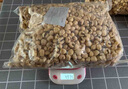 老式爆米花玉米花原味微甜休閑膨化零食傳統工藝懷舊 原味爆米花 3斤裝 曬單實(shí)拍圖