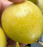 欽蜜9號黃金百香果當(dāng)季大果新鮮水果鵬貿(mào) 百香果5粒中果45-60g 曬單實拍圖