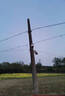 ?？低?HIKVISION太陽(yáng)能4G監(jiān)控?cái)z像頭無線室外免插電免流量防水戶外360無死角夜視手機(jī)遠(yuǎn)程400萬AOV技術(shù)高清監(jiān)控器 400W像素丨4G免流量丨太陽(yáng)能供電 64G內(nèi)存卡 曬單實(shí)拍圖