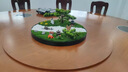 酒店圓桌中間裝飾擺件轉盤(pán)微景觀(guān)植物造景盆景擺花餐桌沙盤(pán)裝飾花 迎客松 30厘米直徑 曬單實(shí)拍圖