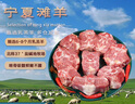 午羊 寧夏灘羊肉 生鮮 新鮮羊排條法式羊排凈重500g 燉煮燒烤食材 【店長(zhǎng)推薦】羊蝎子4斤 曬單實(shí)拍圖