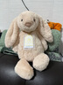 Jellycat致臻害羞羅莎維洛邦尼兔動(dòng)物毛絨玩偶安撫送禮娃娃生日禮物520 害羞維洛邦尼兔 H31 X W12 CM 曬單實(shí)拍圖
