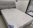 葉聚丘希爾頓席夢思床墊1.8*2米靜音彈簧床墊20cm厚椰棕床墊乳膠床墊子 九區(qū)圓簧兩用【椰棕乳膠24cm】 1800mm*2000mm【過時漲價】 曬單實拍圖